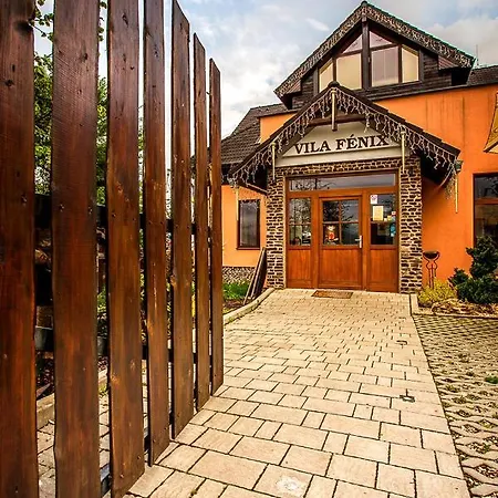 Fenix Guest house 3*